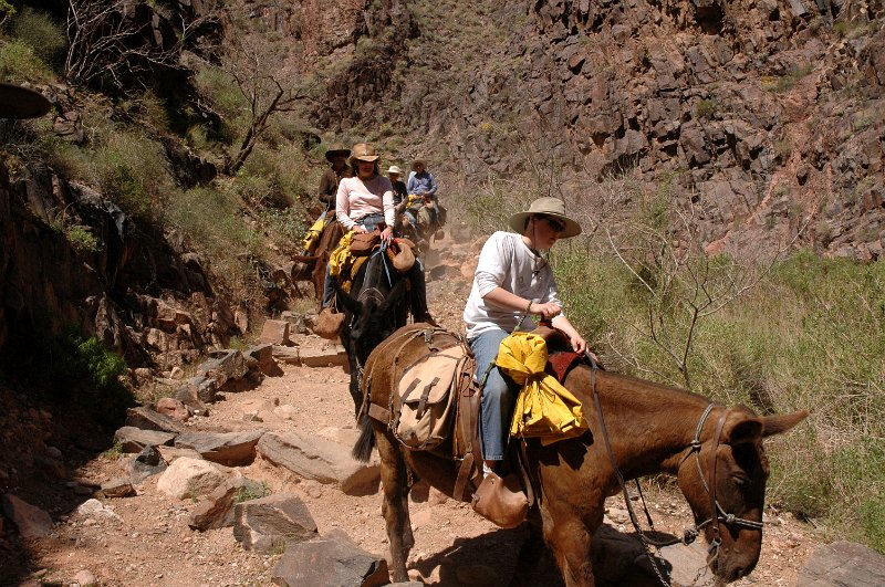 Grand Canyon April 2011_0398.jpg
